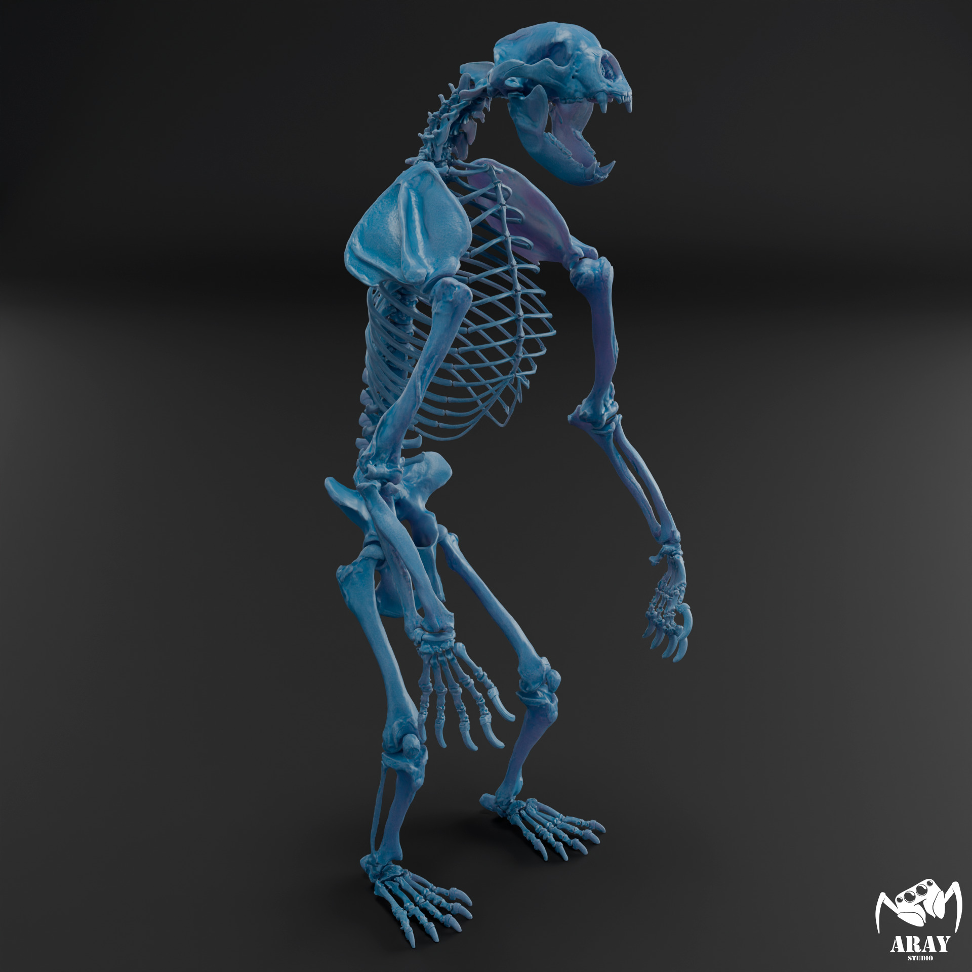 Arctodus simus - short faced bear skeleton 3D print model_7