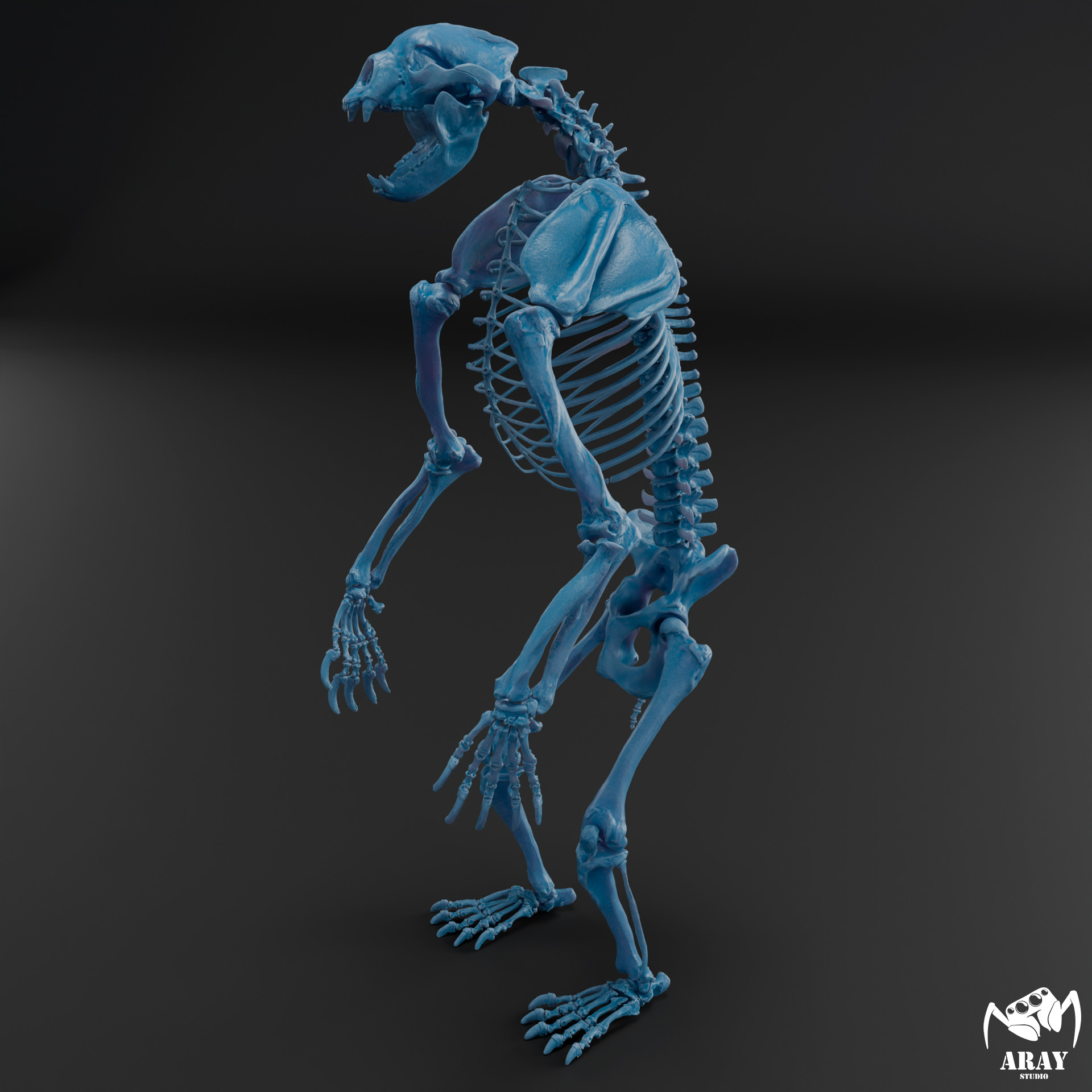 Arctodus simus - short faced bear skeleton 3D print model_9