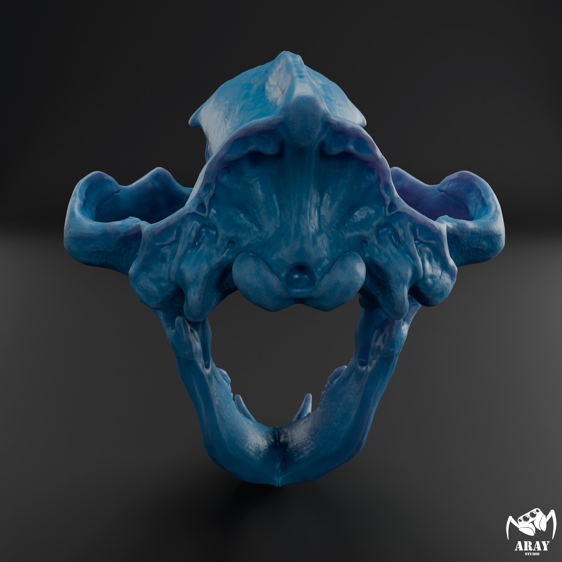 Arctodus simus - short faced bear skull 3D print model_11