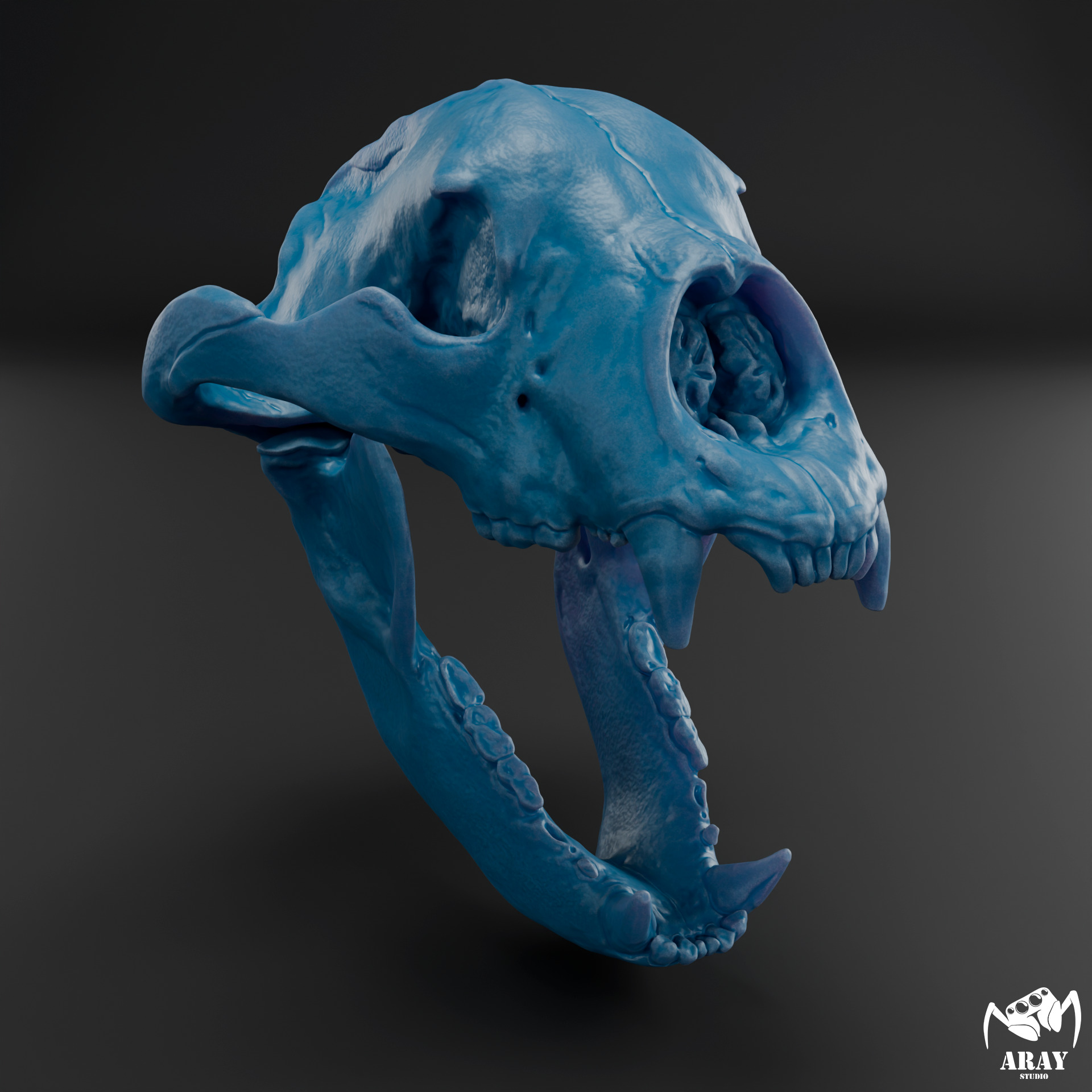 Arctodus simus - short faced bear skull 3D print model_6