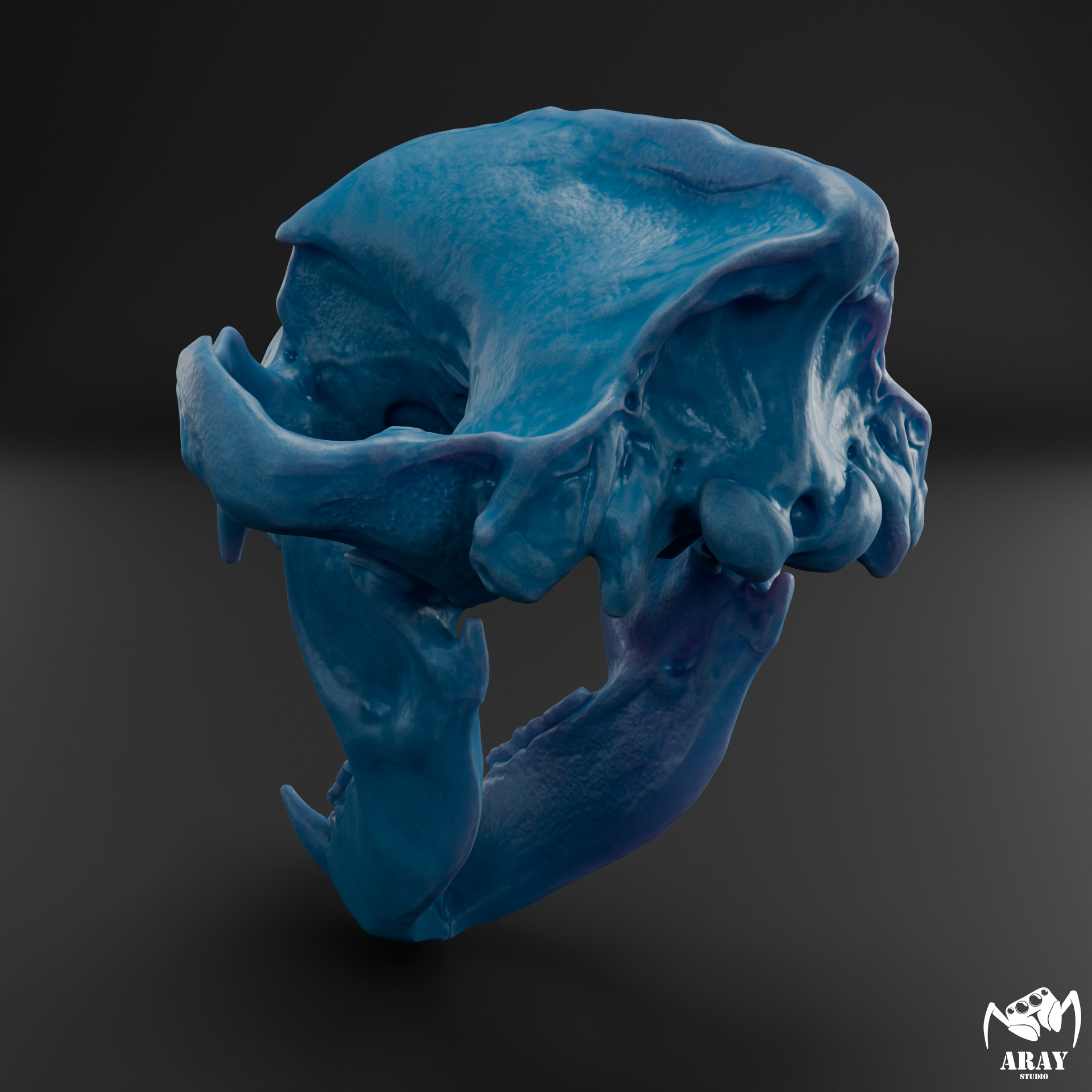Arctodus simus - short faced bear skull 3D print model_10