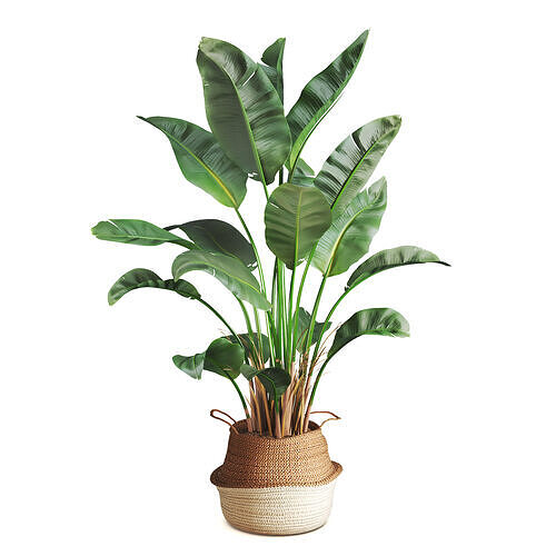 Faux Banana Woven Basket 3D model