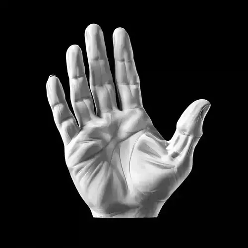 Realistic 3D Hand Model