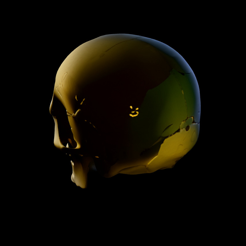 Realistic Human Skull 3D Model Low-poly 3D model_4