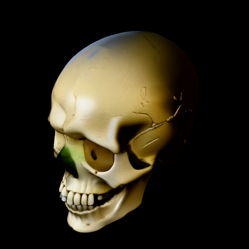 Realistic Human Skull 3D Model Low-poly 3D model_1
