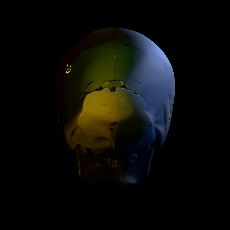 Realistic Human Skull 3D Model Low-poly 3D model_6