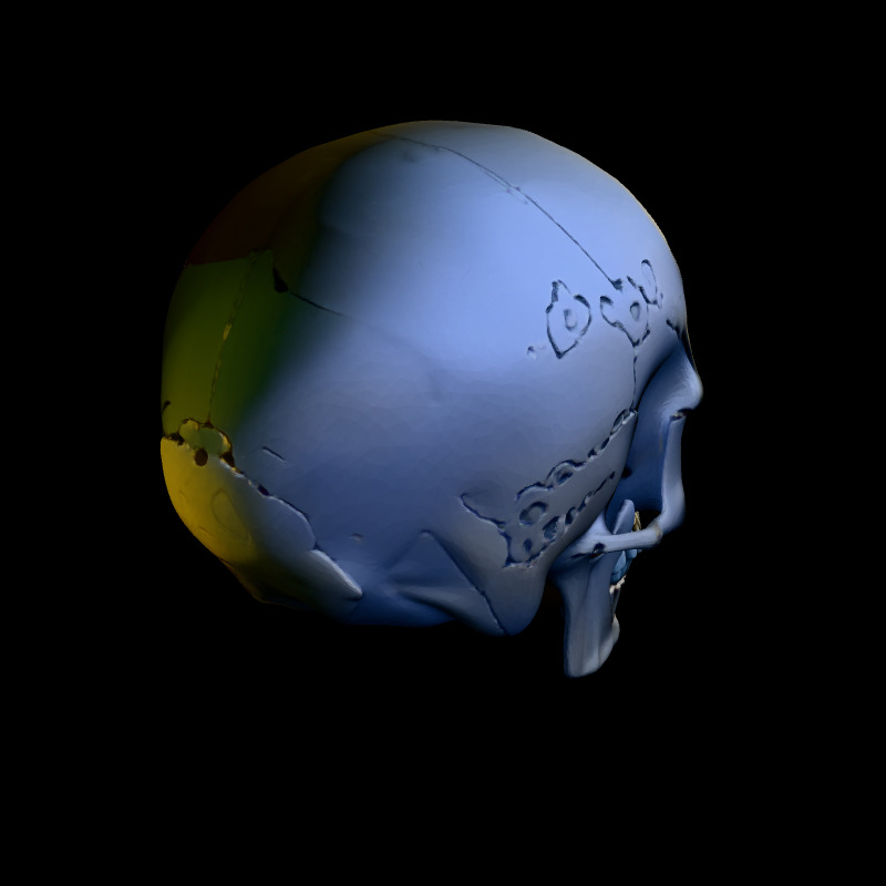 Realistic Human Skull 3D Model Low-poly 3D model_5