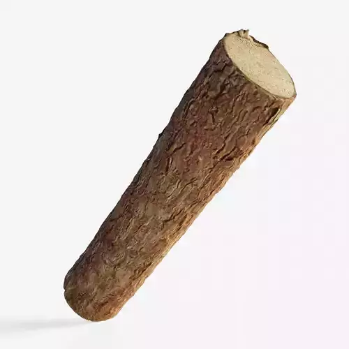 Scanned coniferous firewood Low-poly 3D model