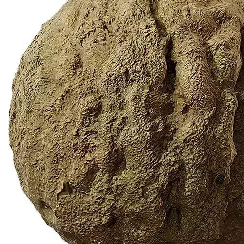 Rock Seamless Texture 2K - EXR 5 - JPG 5 Texture 