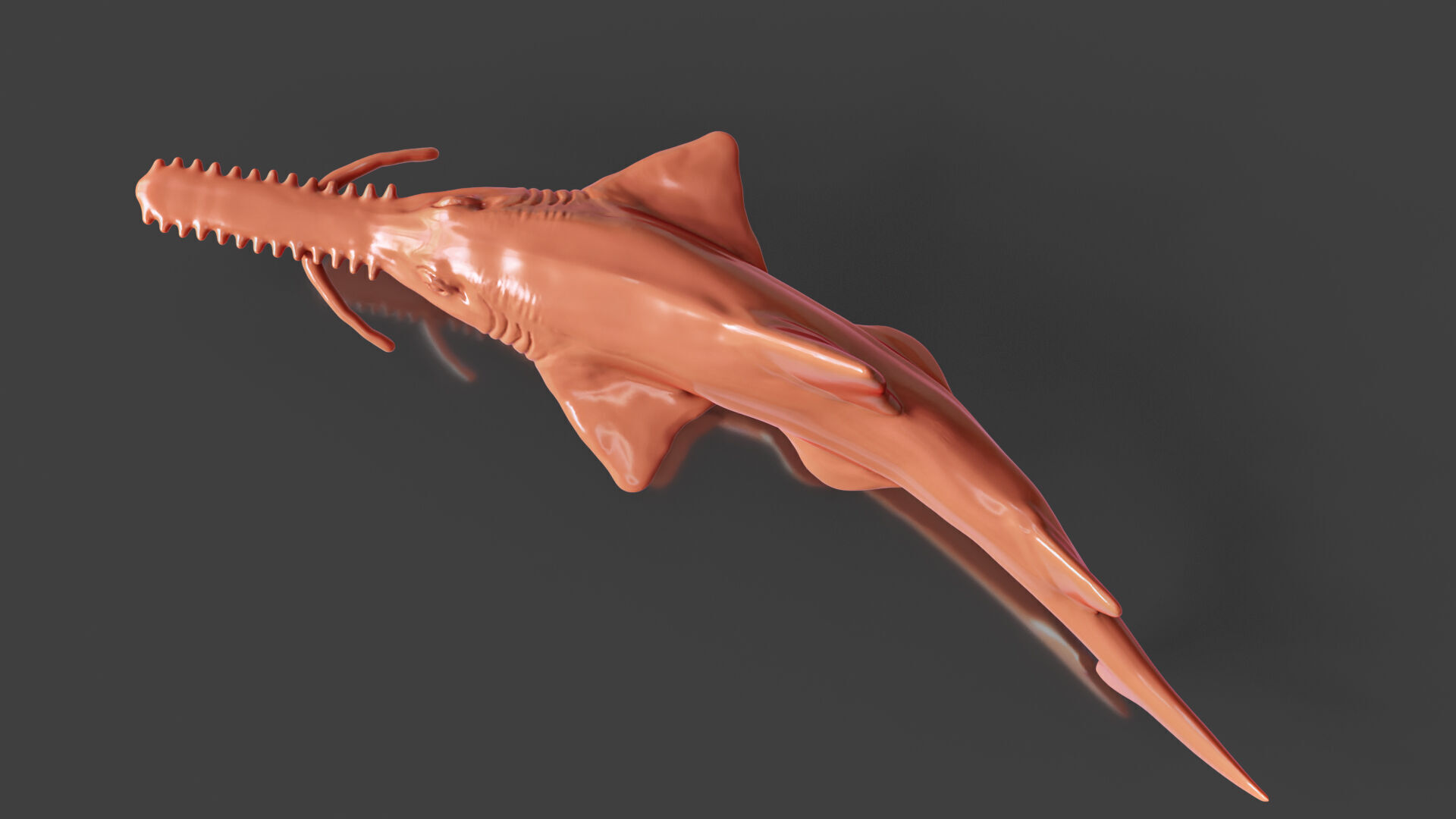 Realistic Fish Toys Sawshark 3D print model_3