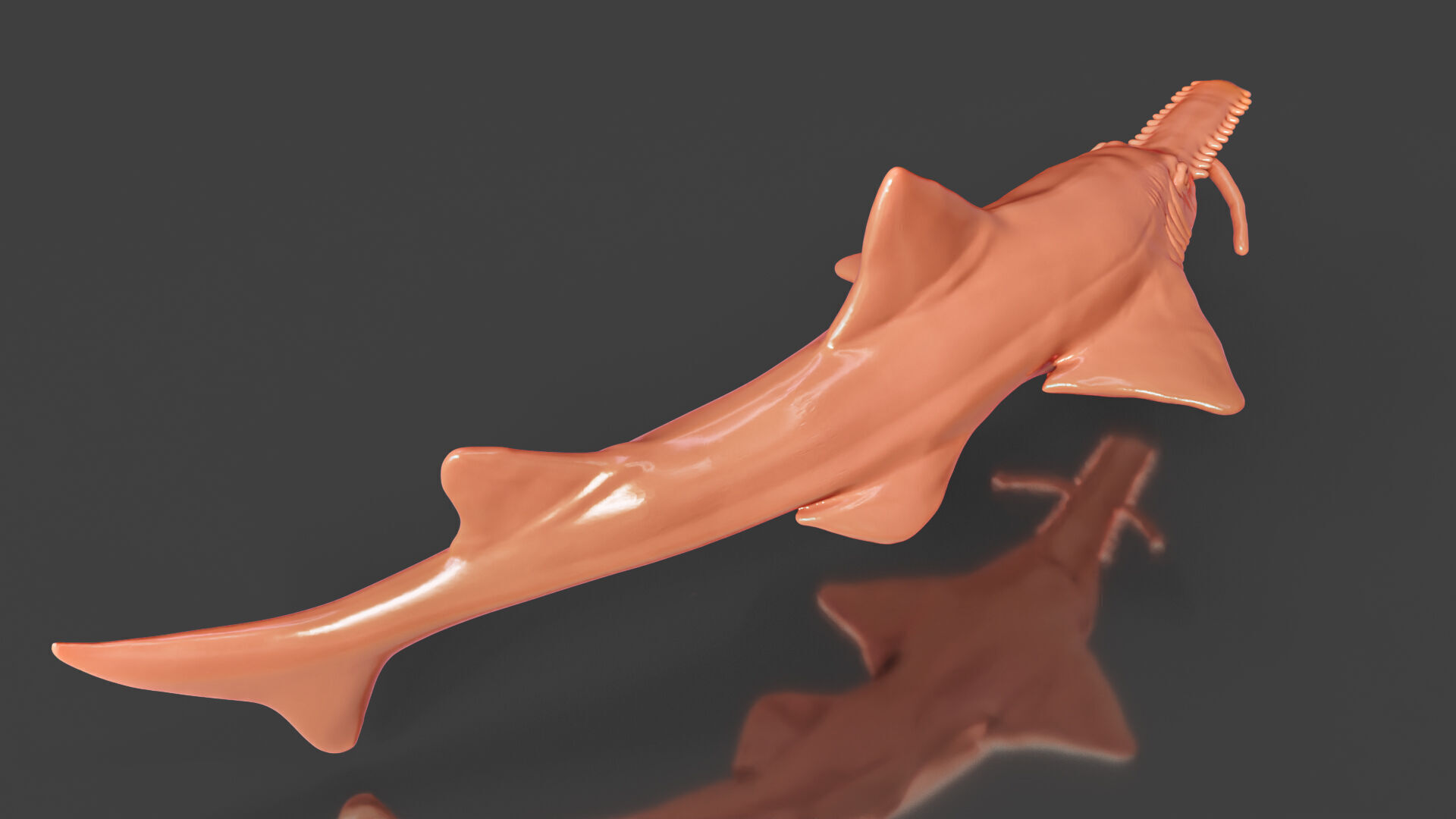 Realistic Fish Toys Sawshark 3D print model_4