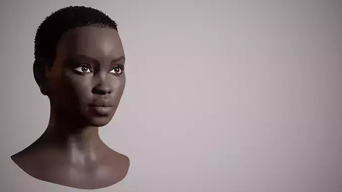 African Woman Head 33