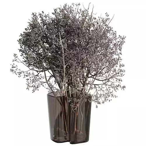 Dry branch Plant in a Glass vase - Bouquet 77