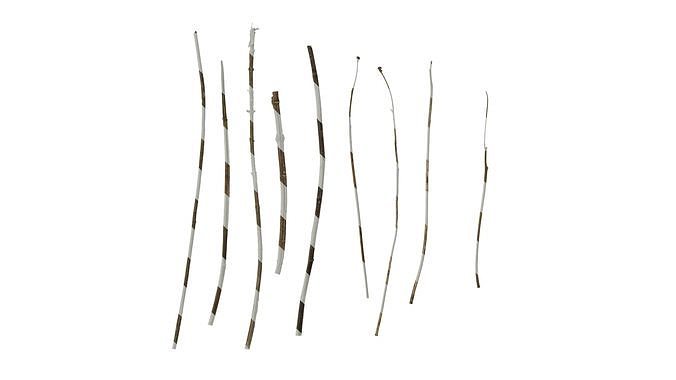 Anydrafts Dead branch 41 Texture