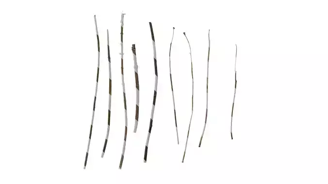 Anydrafts Dead branch 41