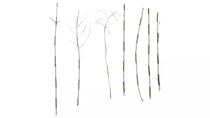 Anydrafts Dead branch 43