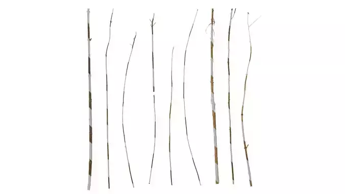 Anydrafts Dead branch 44