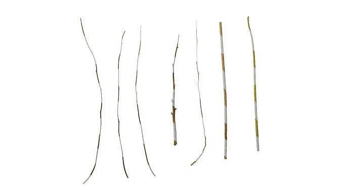 Anydrafts Dead branch 45 Texture