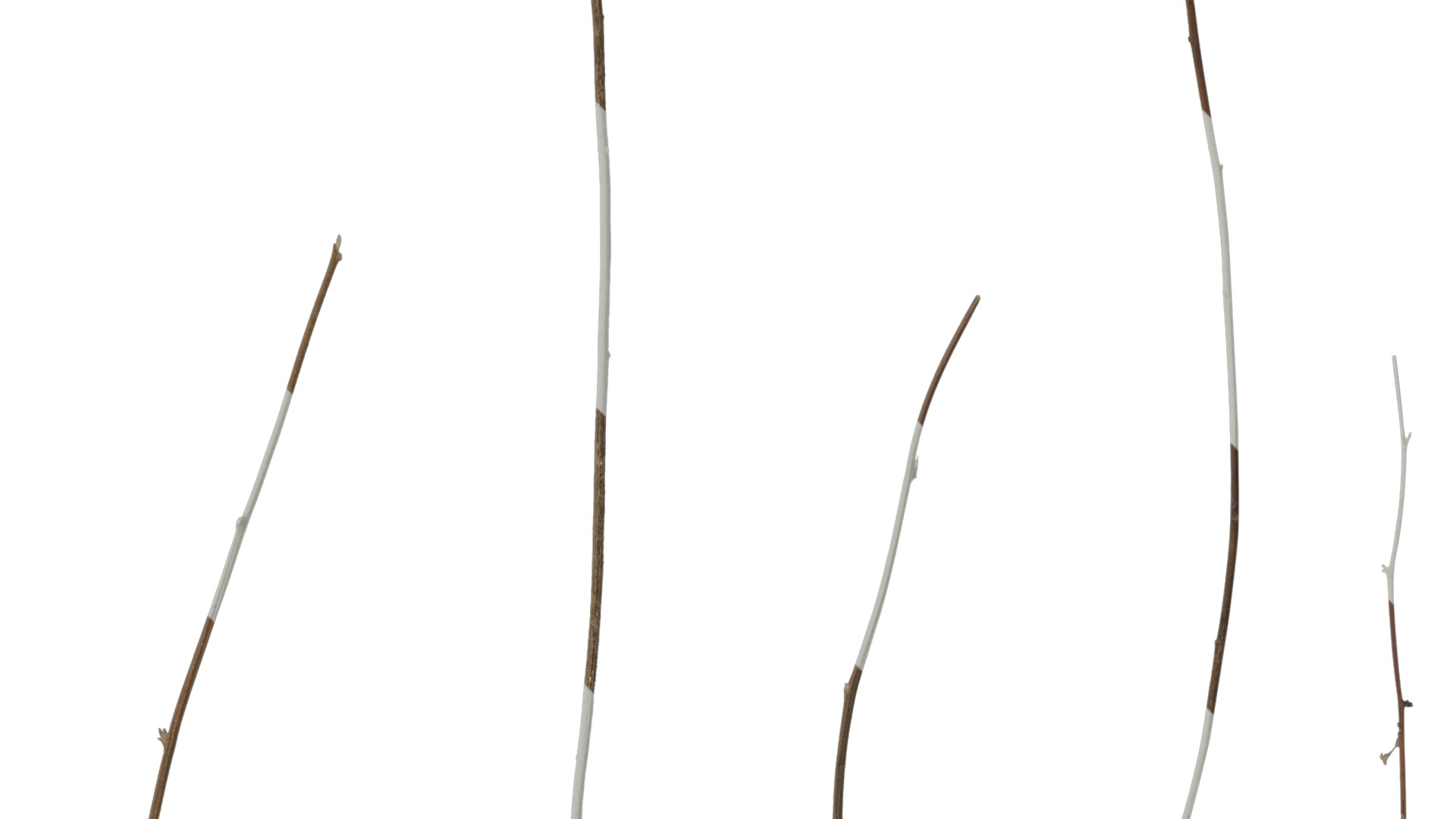 Anydrafts Dead branch 46 Texture_2