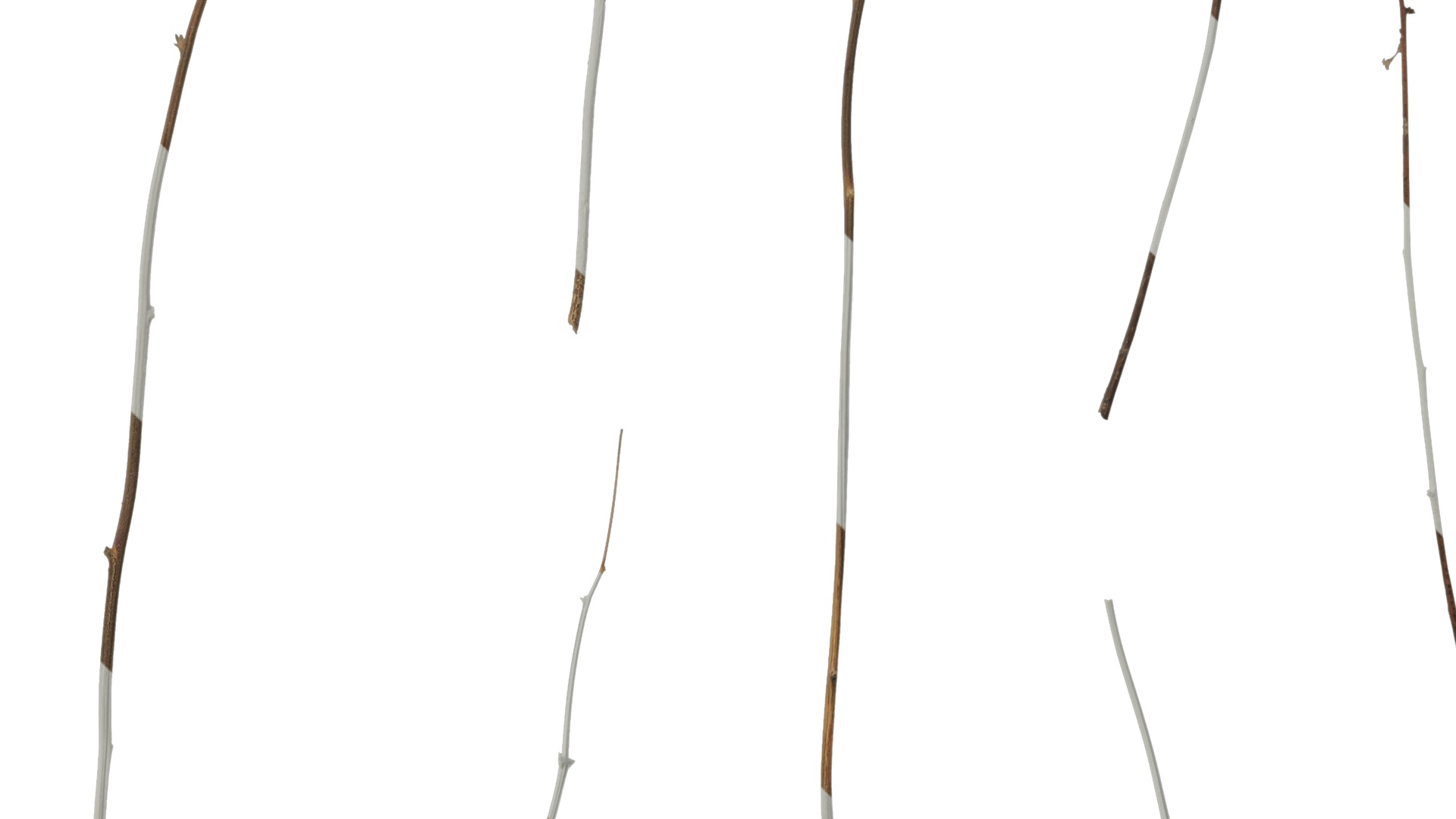 Anydrafts Dead branch 46 Texture_4