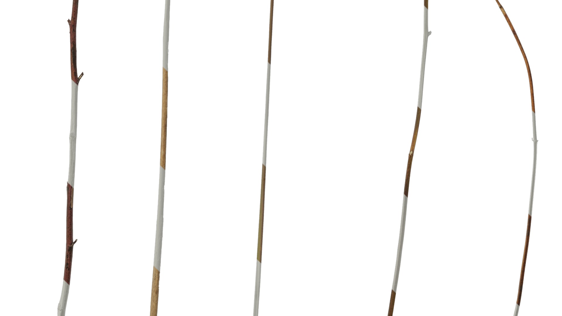 Anydrafts Dead branch 46 Texture_5