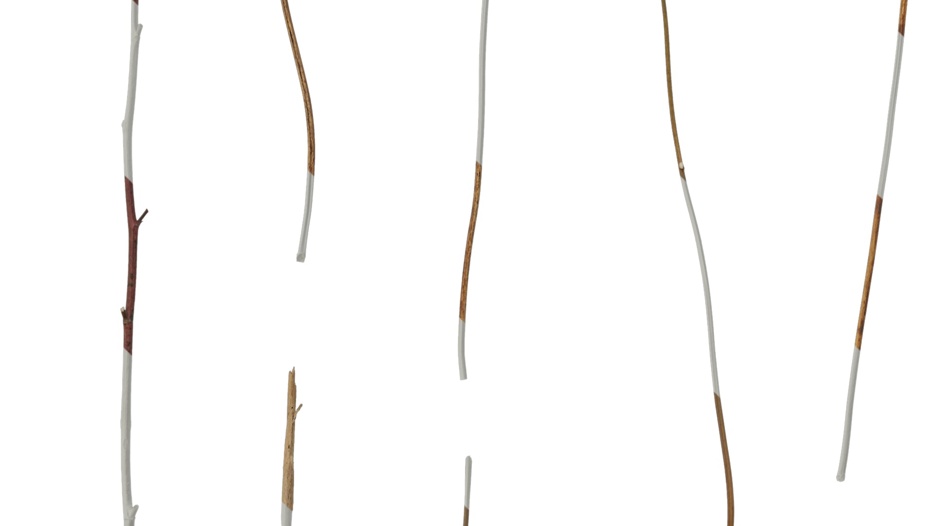 Anydrafts Dead branch 46 Texture_3