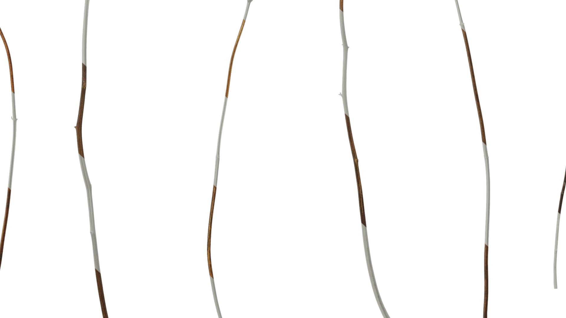 Anydrafts Dead branch 46 Texture_6