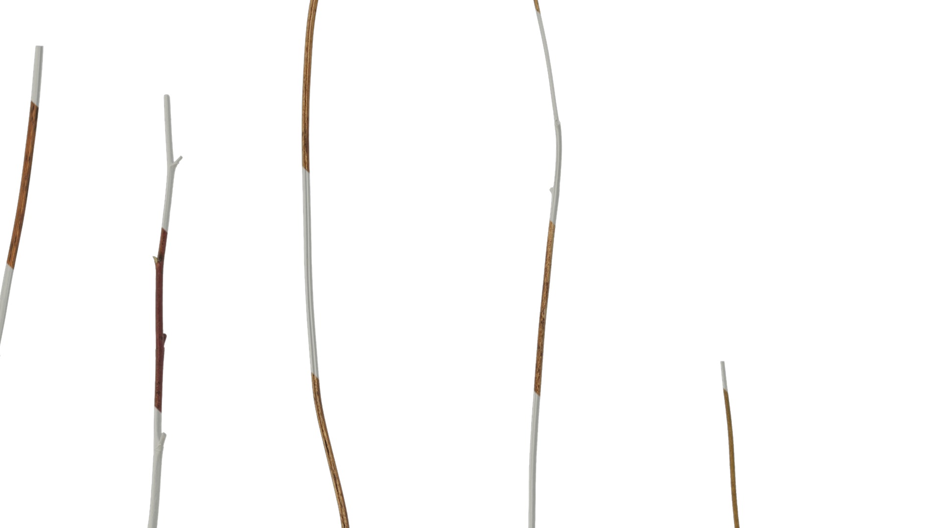 Anydrafts Dead branch 46 Texture_1