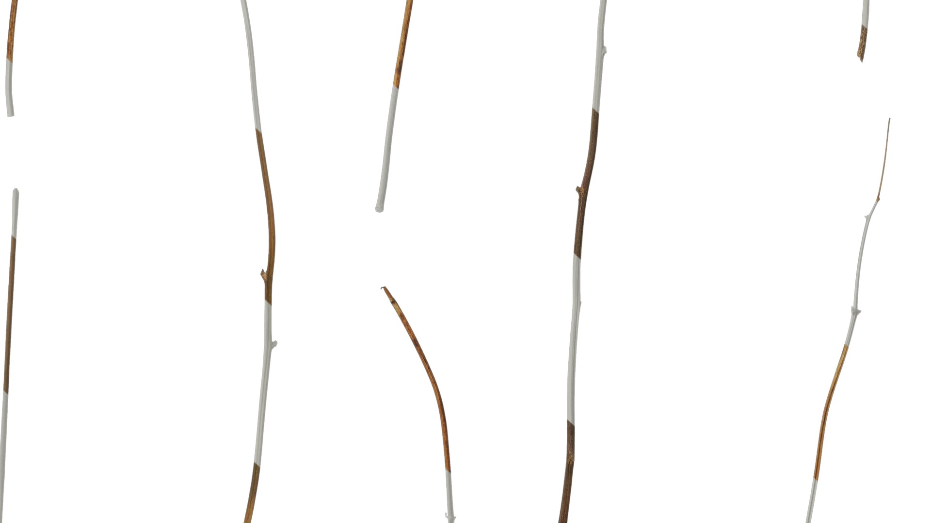 Anydrafts Dead branch 46 Texture_7