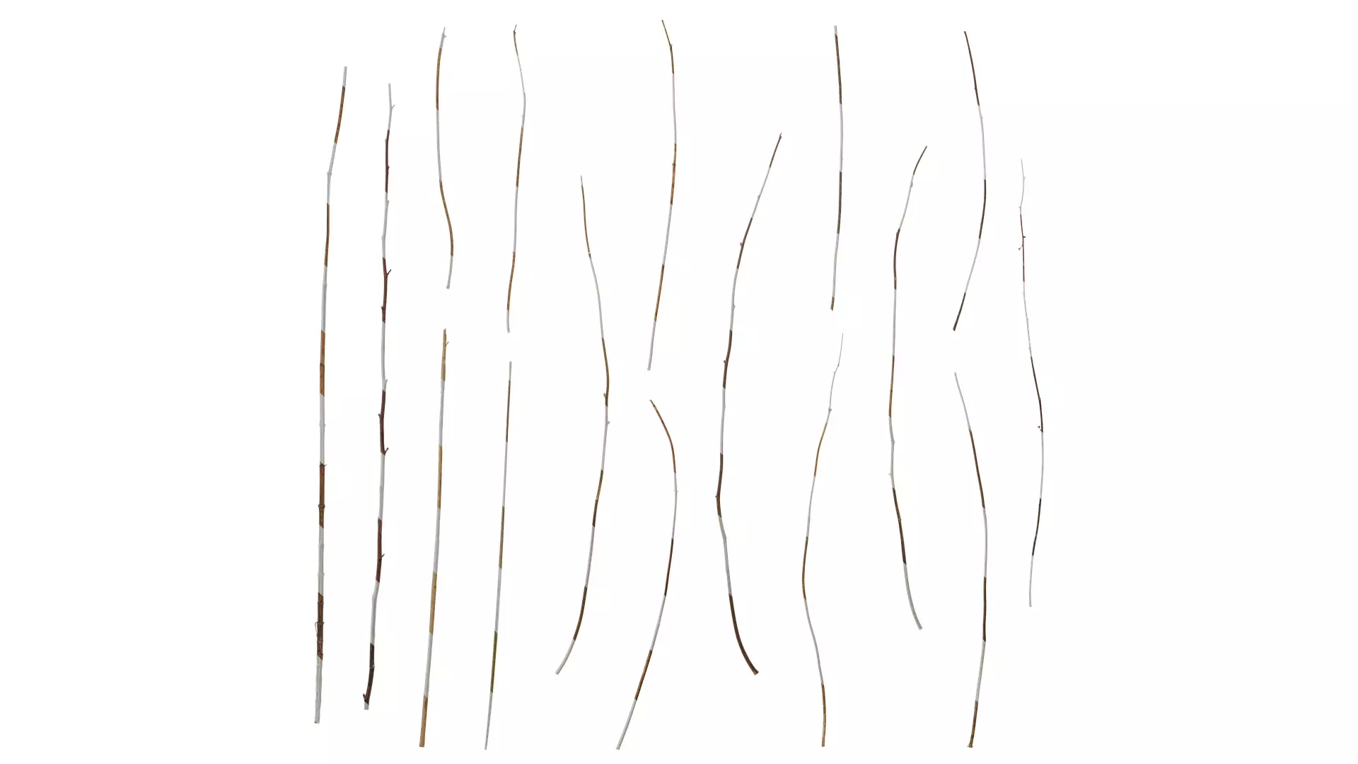 Anydrafts Dead branch 46 Texture_0