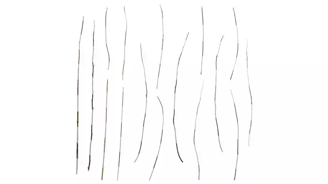 Anydrafts Dead branch 46