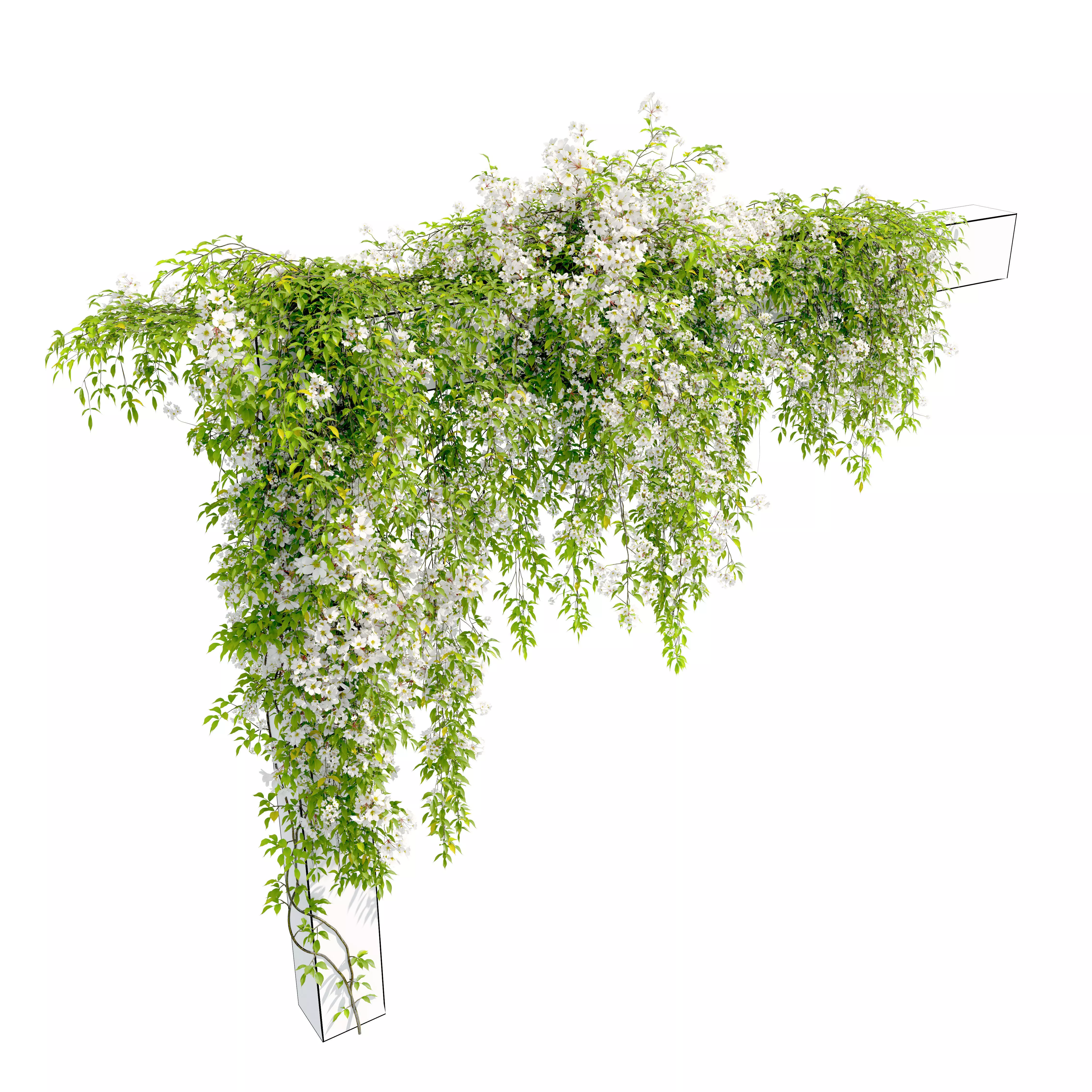 Hanging plant 53 3D model