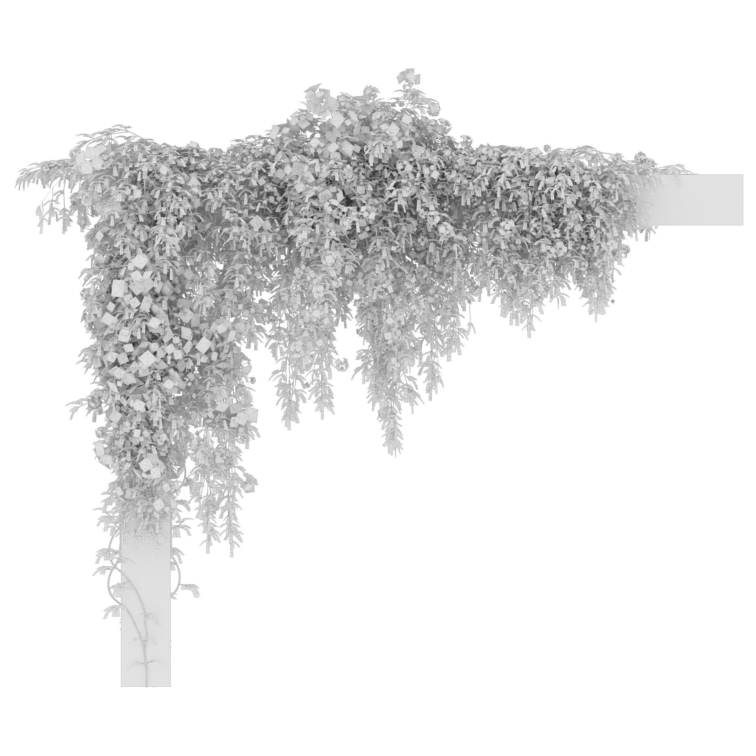 Hanging plant 53 3D model_4