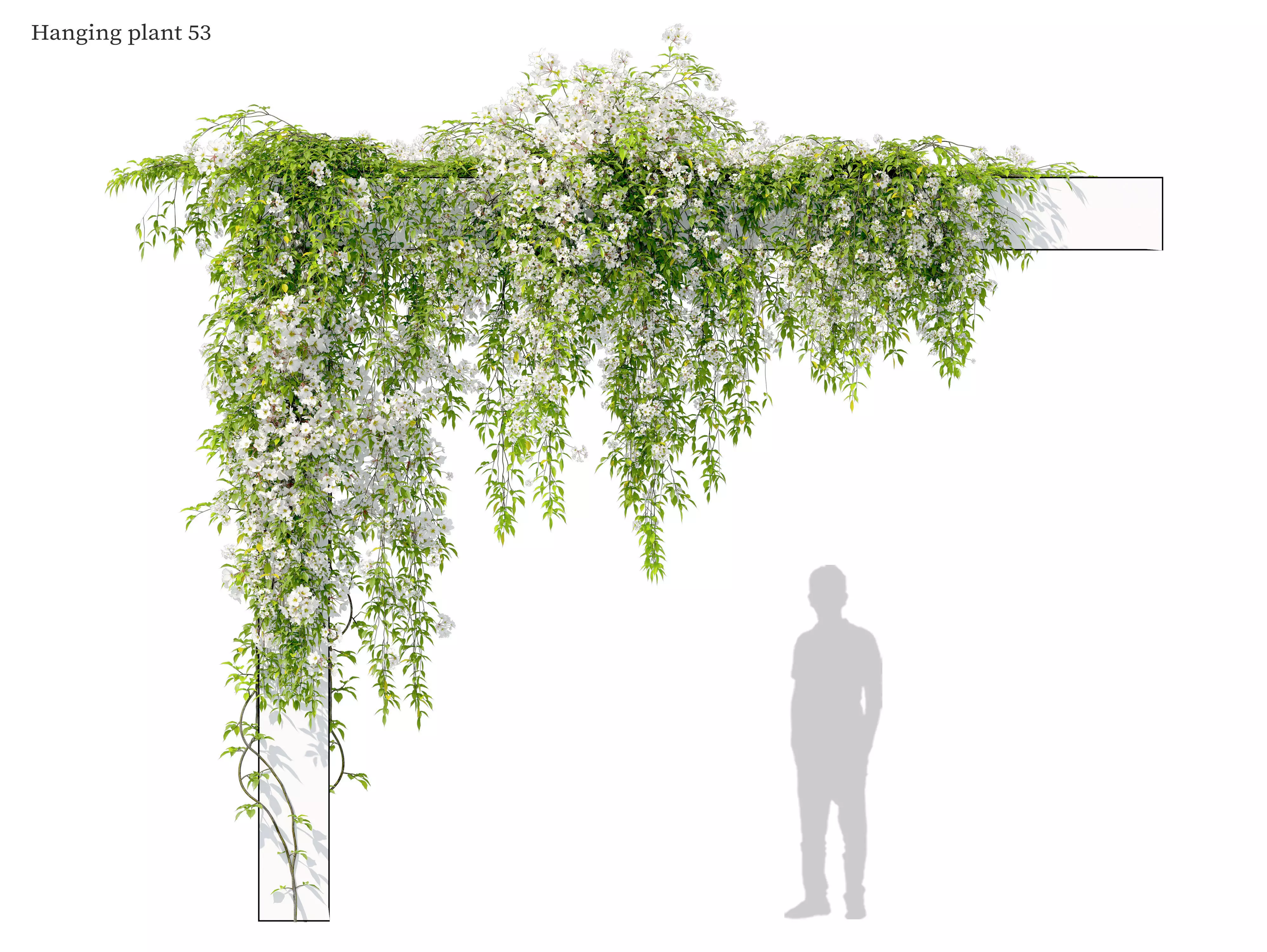 Hanging plant 53 3D model_0