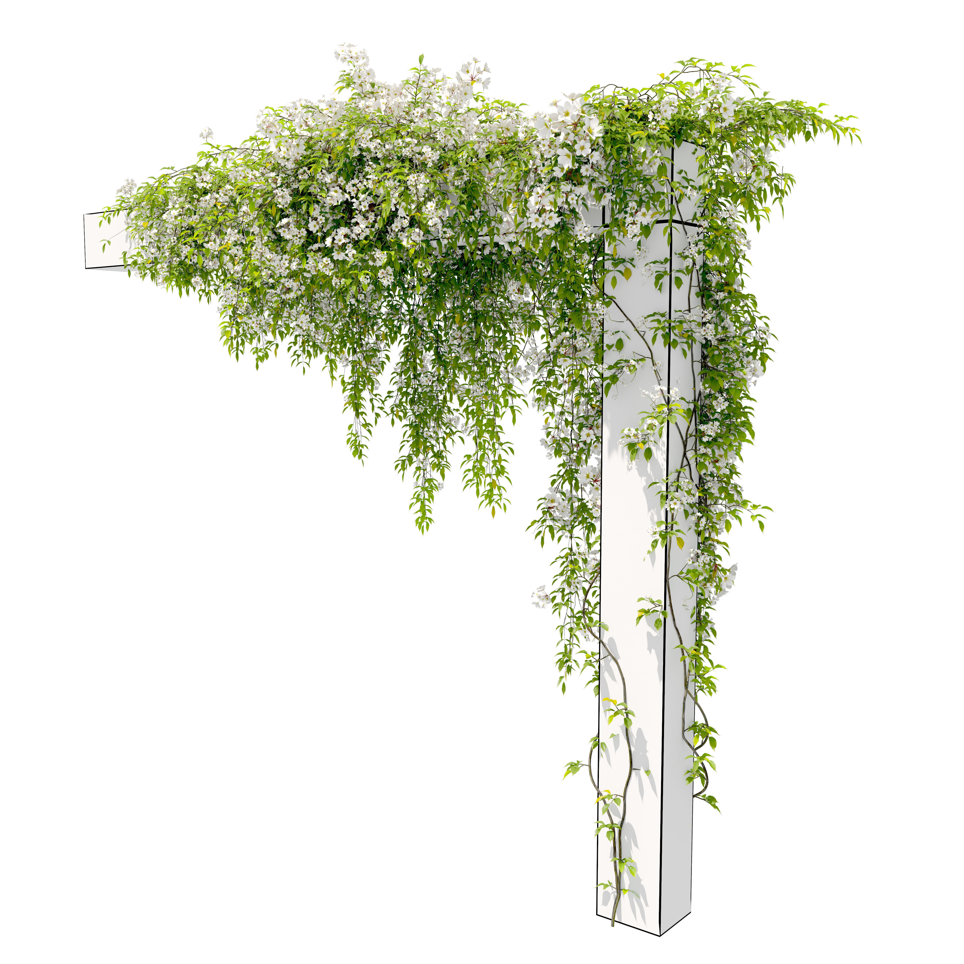 Hanging plant 53 3D model_2