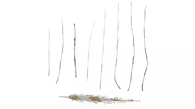 Anydrafts Dead branch 48