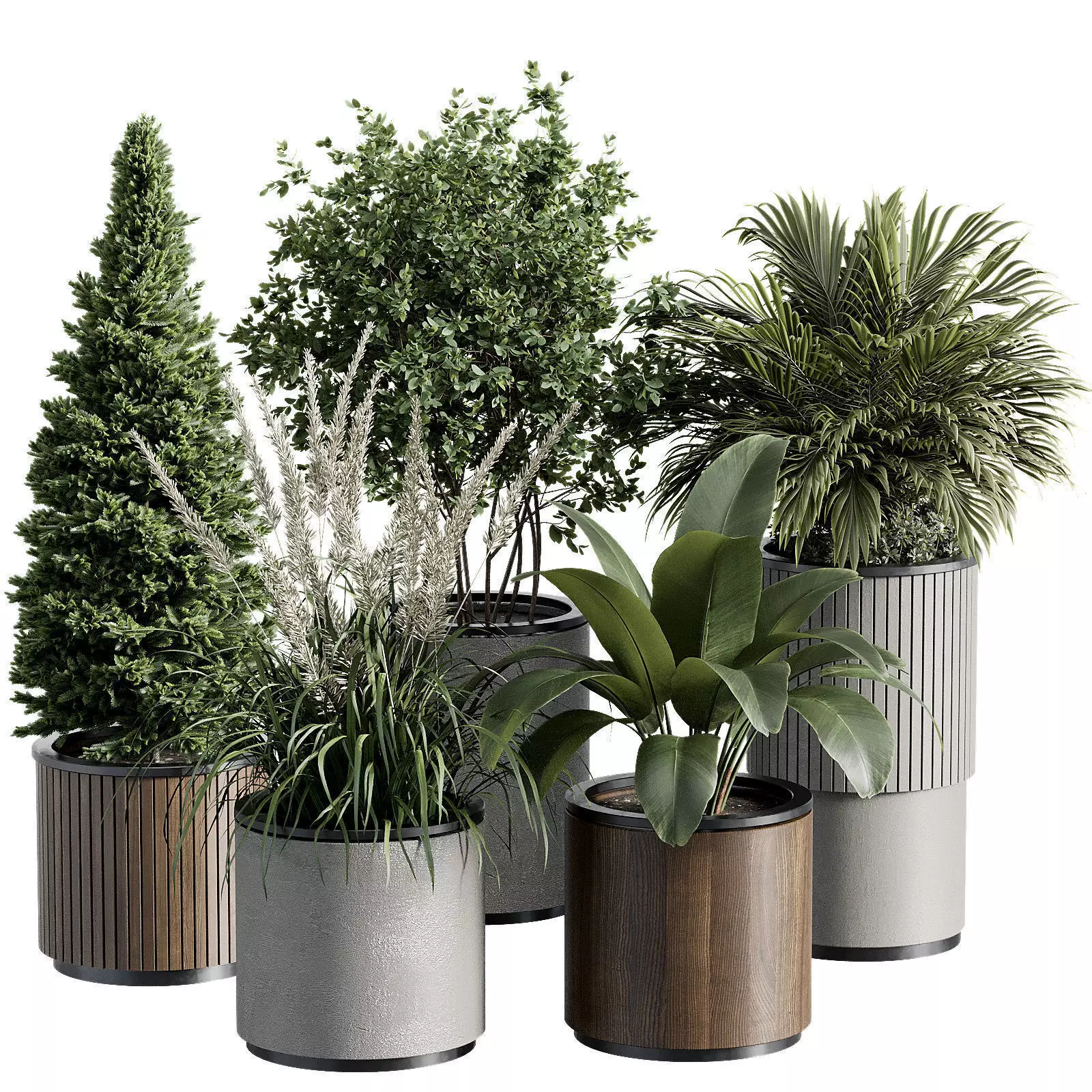 Outdoor Plant 36 3D model