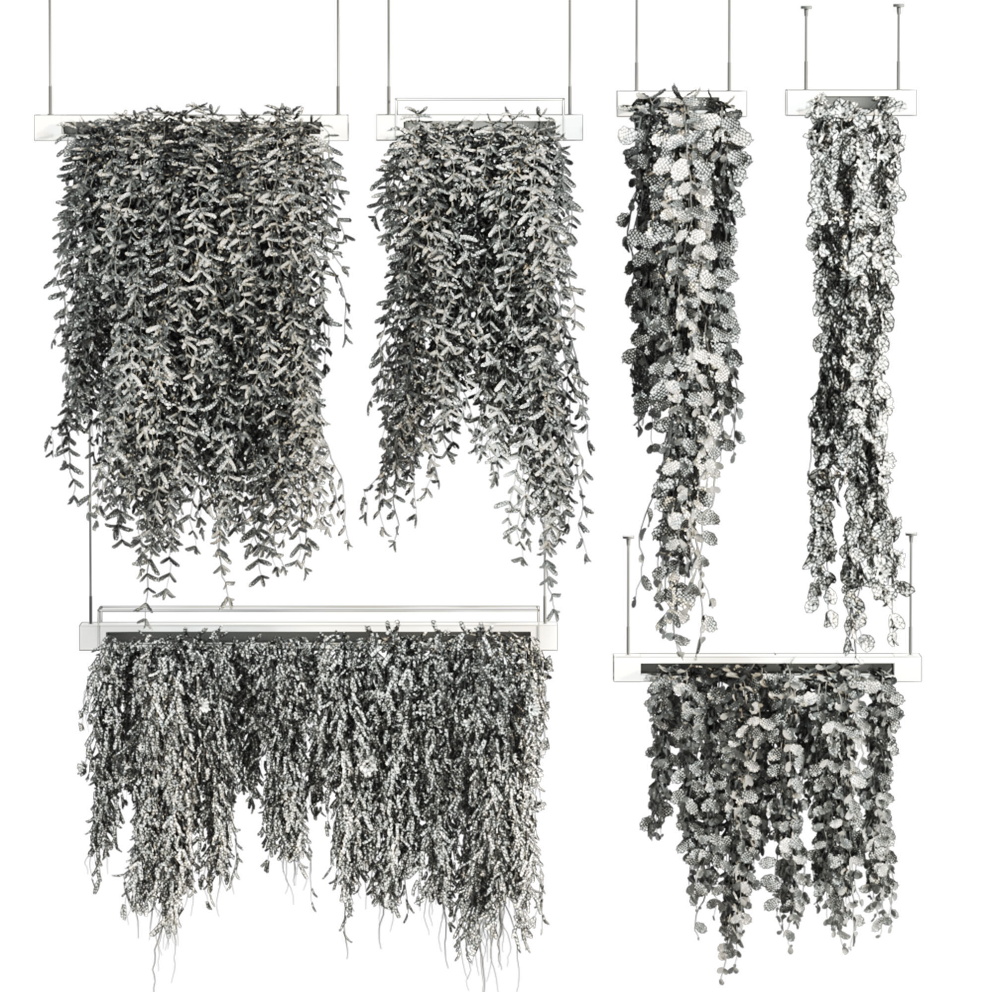 ivy plants 3D model_3