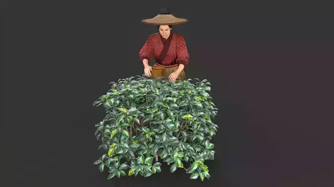 Ancient Chinese women Low-poly 3D model