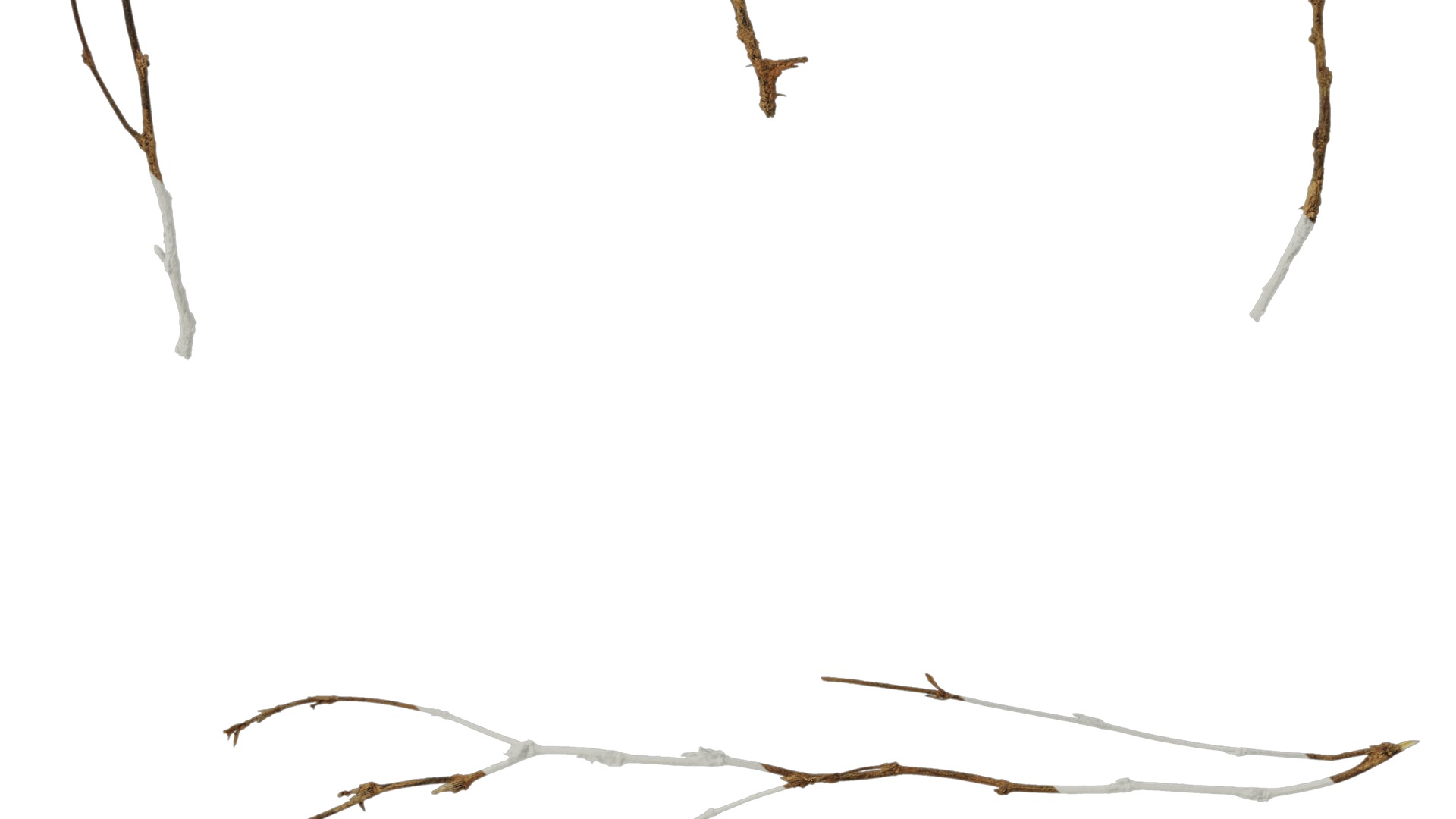 Anydrafts Dead stalks 26 Texture_5