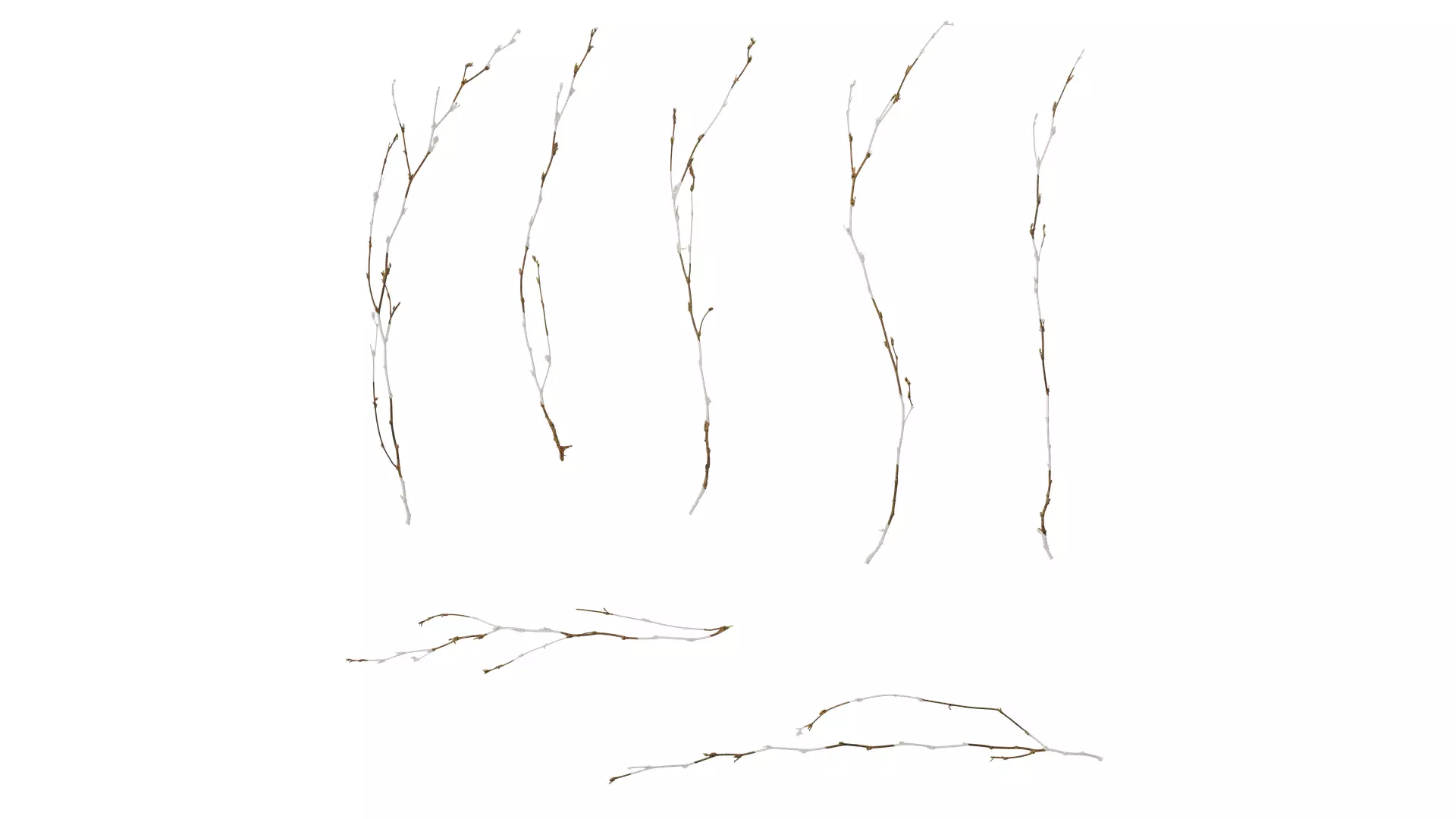 Anydrafts Dead stalks 26 Texture_0