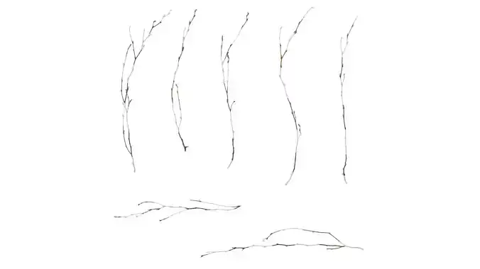 Anydrafts Dead stalks 26