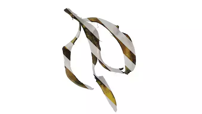 Anydrafts Banana peel 07