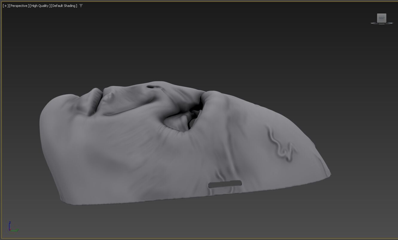 Lord Voldemort Mask 3D Print-Ready STL for True Wizarding Fans 3D print model_1