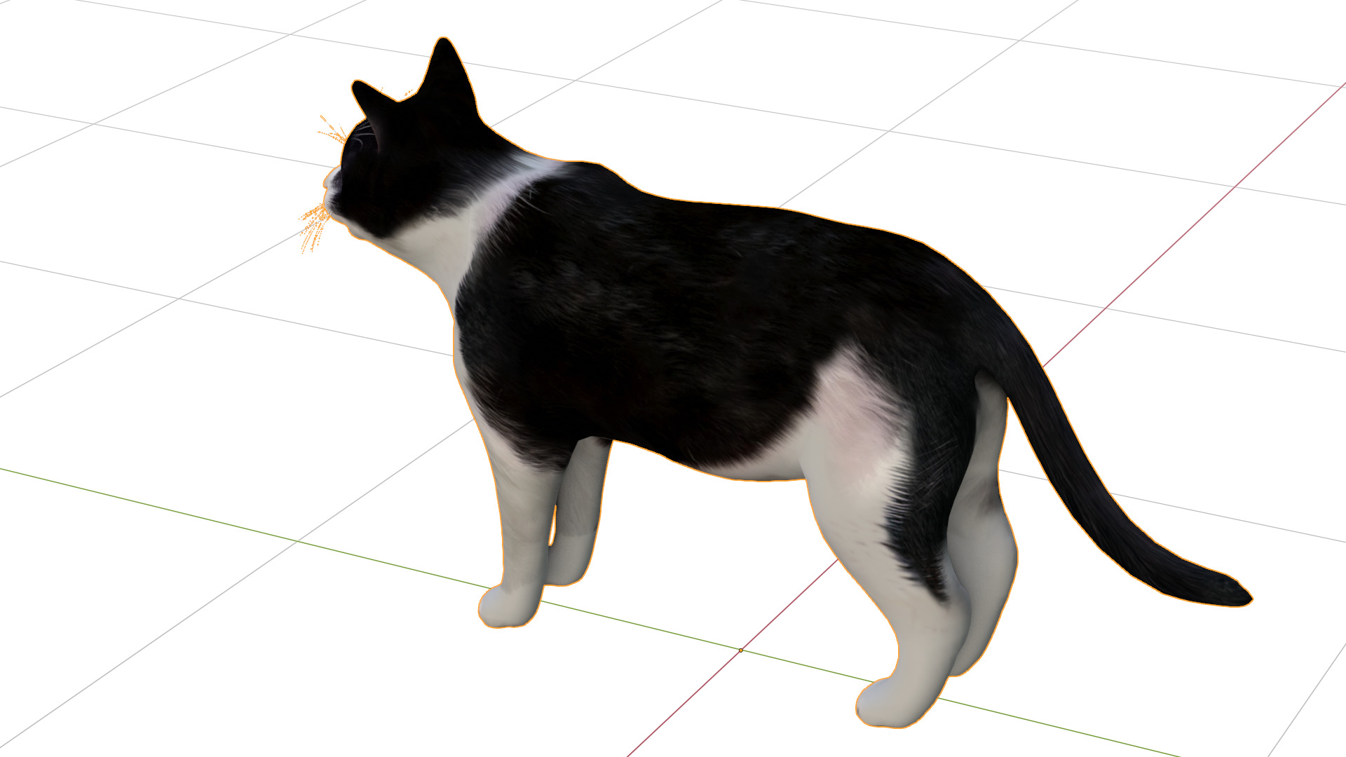 Domestic House Cat Low-poly 3D model_11