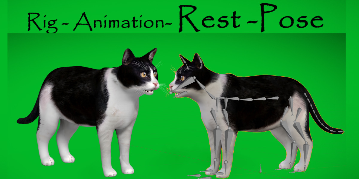 Domestic House Cat Low-poly 3D model_3