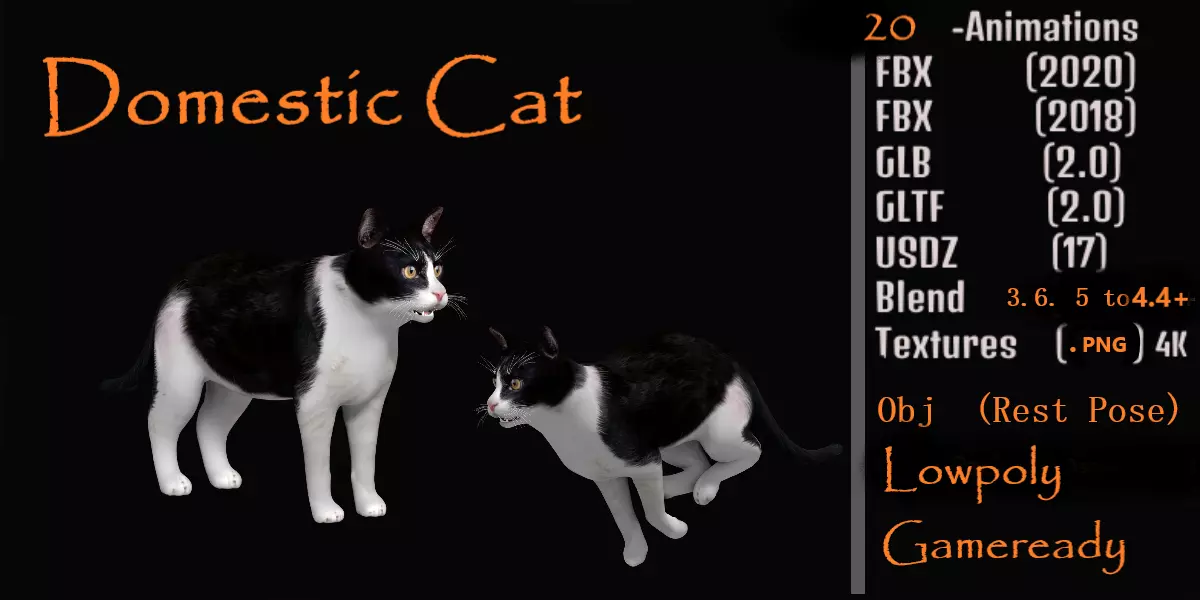 Domestic House Cat Low-poly 3D model_0