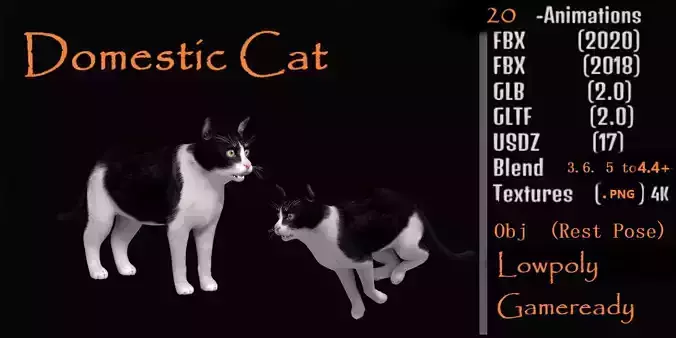 Domestic House Cat Low-poly 3D model