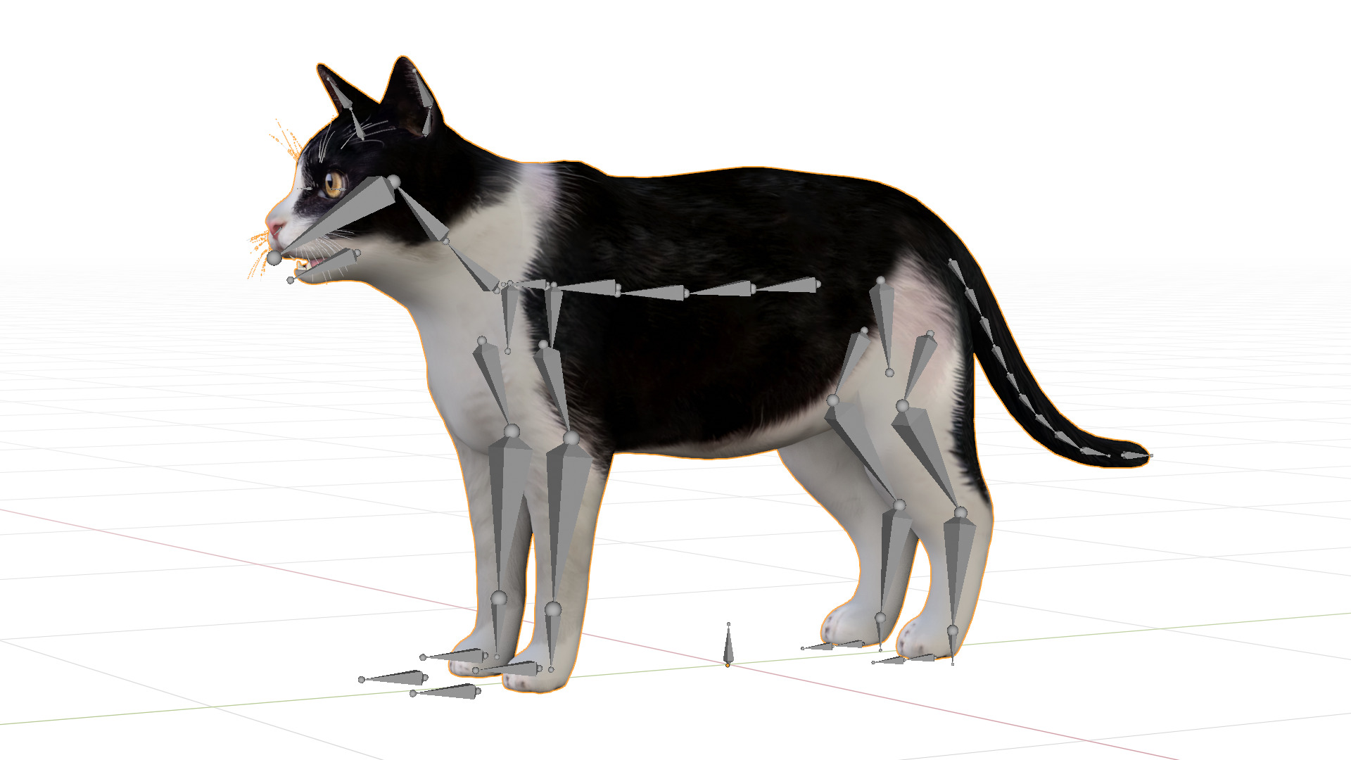 Domestic House Cat Low-poly 3D model_8