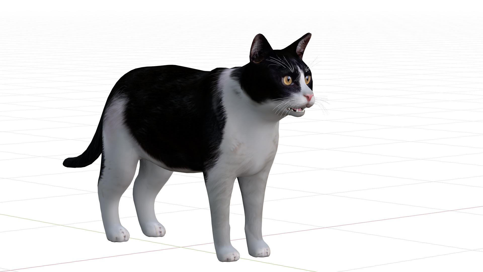 Domestic House Cat Low-poly 3D model_12